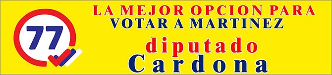 Cardpma diputado