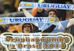 Rumbo a Brasil 2014