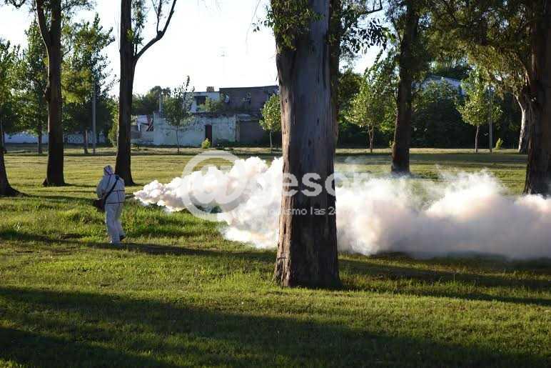 Se aplica Cipermetrina, un producto piretroide que normalmente se usa para el control de plagas, es seguro para humanos y mascostas y su uso está autorizado por los organismos medioambientales.