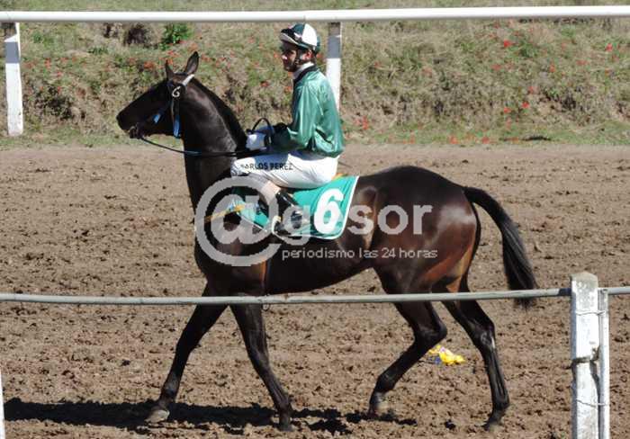 La programación del Jockey Club Mercedes en el hipódromo mercedario este domingo incluye seis carreras.
