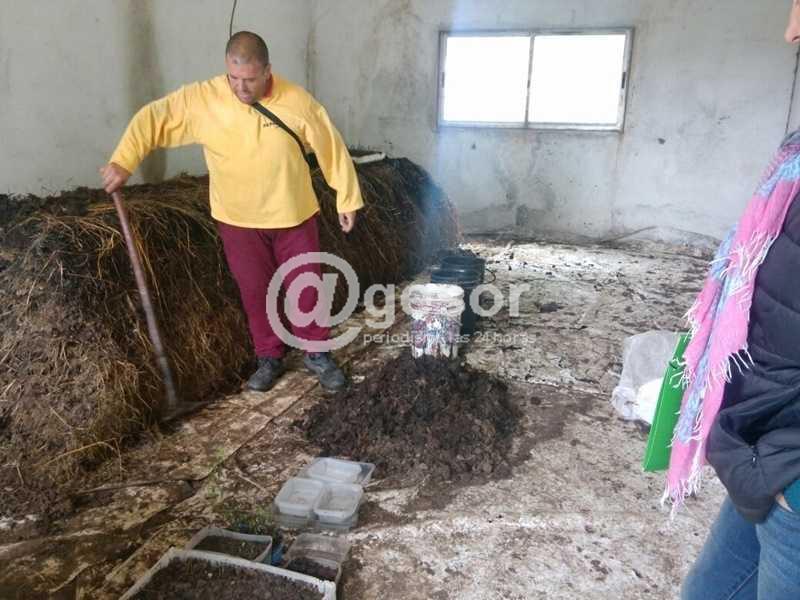 Intendencia de Soriano apoya proyecto ambiental y de huerta en la Unidad 24 de Pense.
