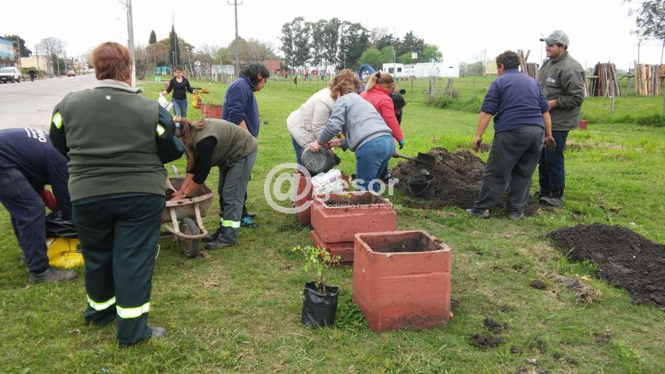 La plantación de rosas se realizó en macetas por calle 18 de julio de dicha localidad.