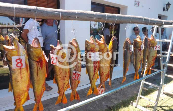 Hubo casi medio centenar de embarcaciones.