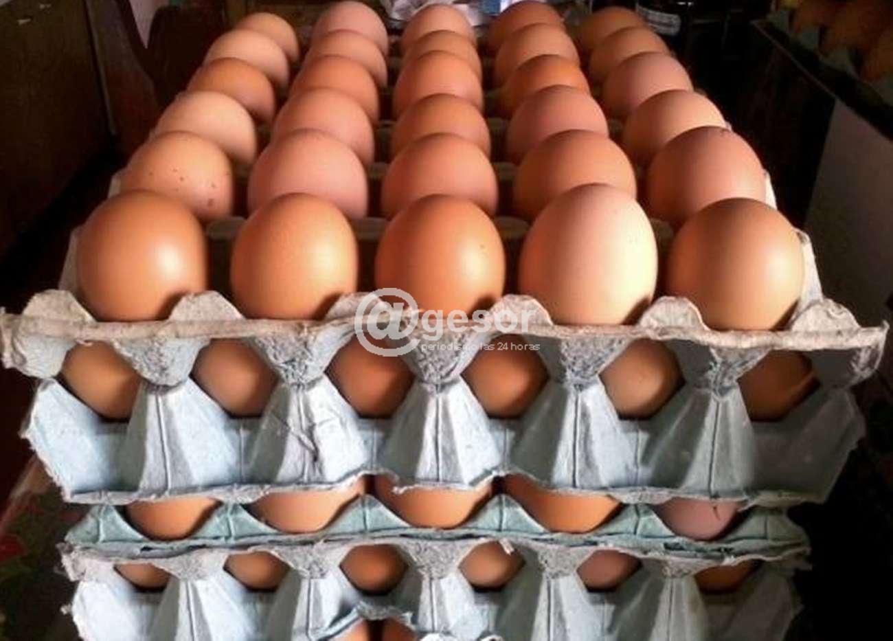 Por una ventana ingresaron a un comercio de Mercedes para llevarse maples con huevos, por un valor de $ 3.000