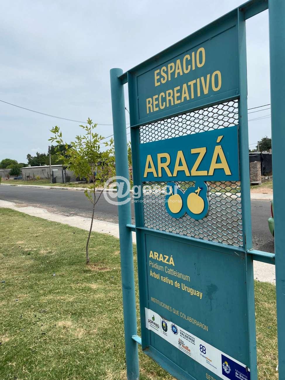 Aportó un espacio de entretenimiento para los vecinos de la zona, con juegos inclusivos y césped sintético que aporta color verde a este espacio y más seguridad contra posibles golpes de los niños al jugar