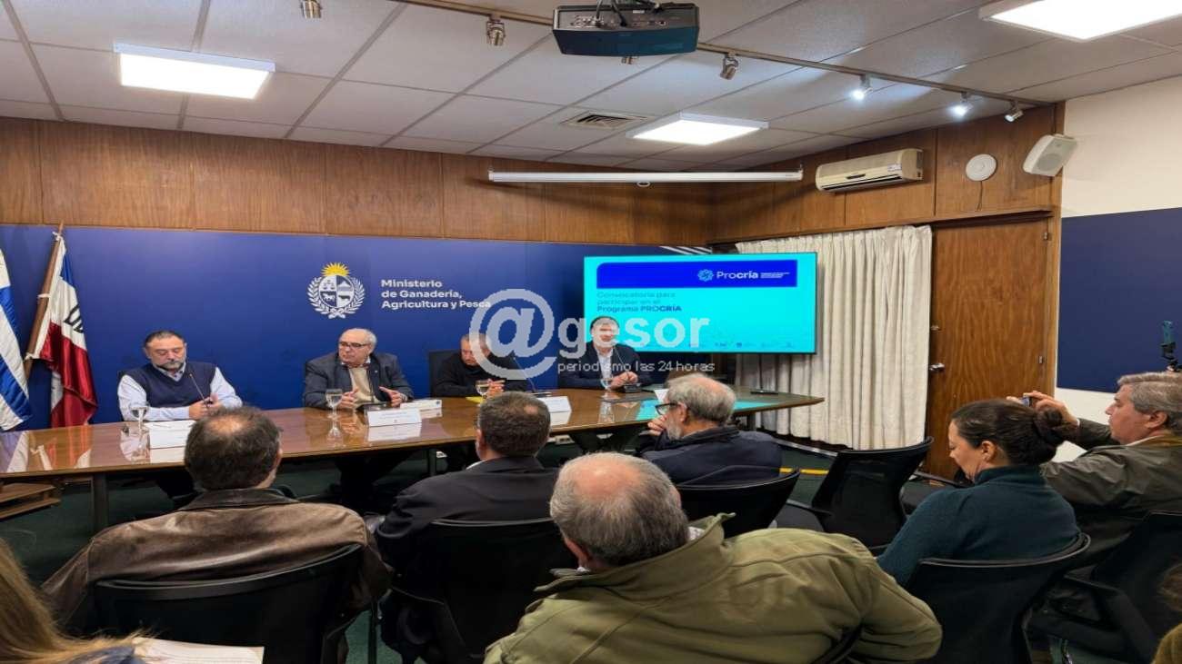 En sede central del Ministerio de Ganadería, Agricultura y Pesca, se realizó este miércoles 27 de mayo, la conferencia de prensa donde se anunció la apertura de una nueva convocatoria del Programa de Innovación para una Ganadería de Cría Sostenible, PROCRÍA. Acceda al lanzamiento en el enlace debajo.
