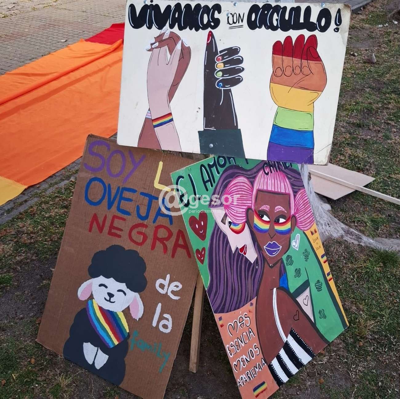 Image6