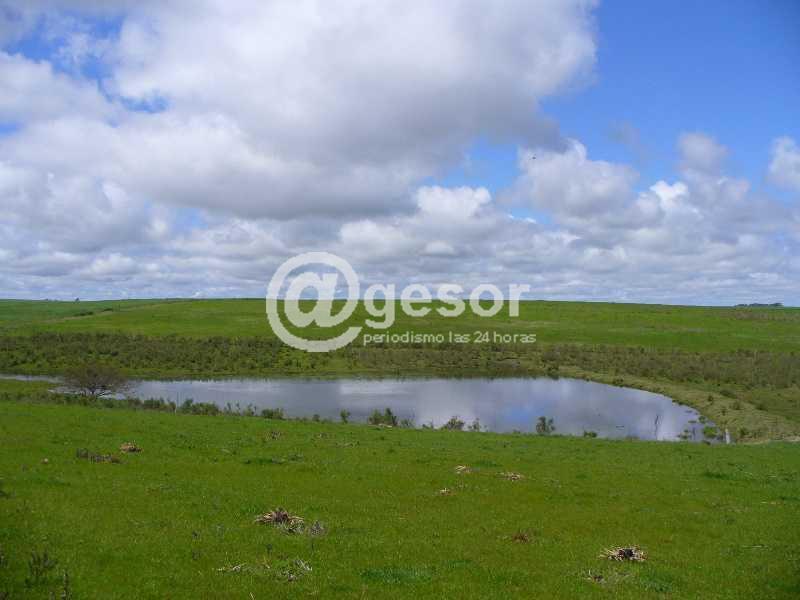 Hombre perece ahogado en tajamar.