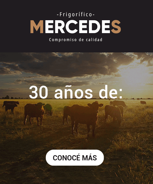 frigorífico mercedes