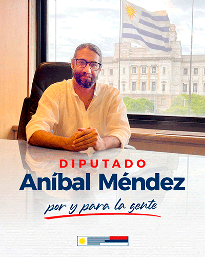 anibal mendez - diputado