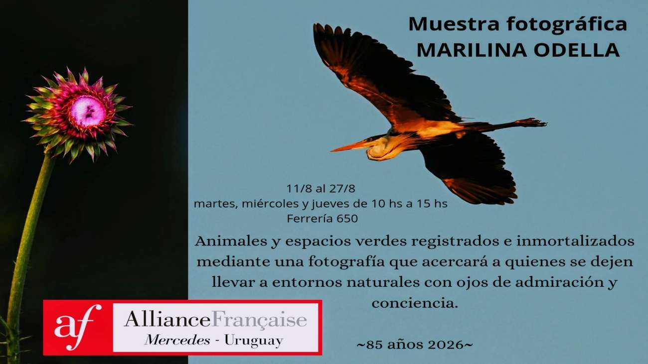 slide15